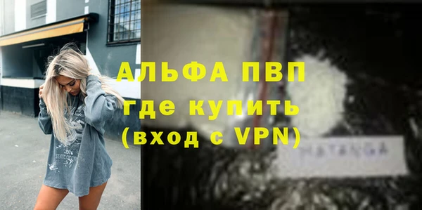 сатива Крымск