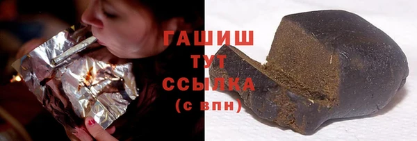молекула духа Ладушкин
