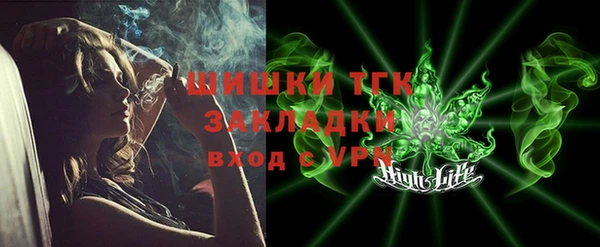 индика Кропоткин